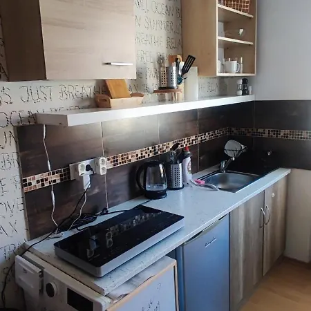 Petite Urban Oasis アパート *