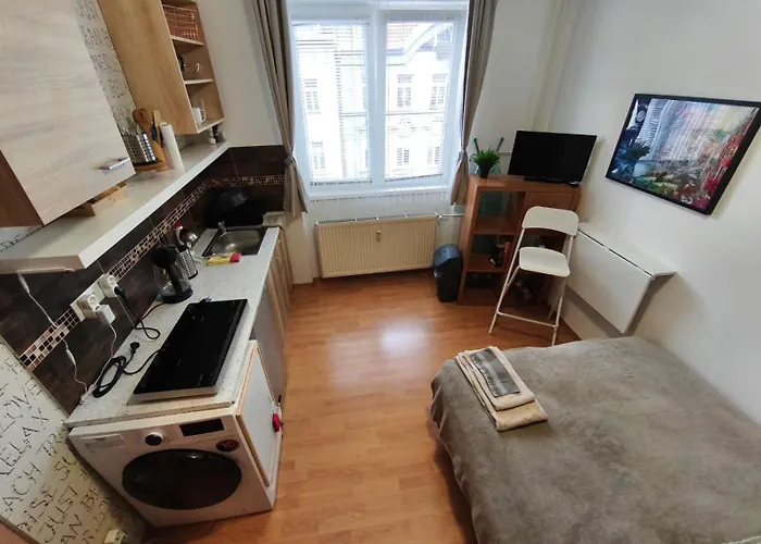 Apartmán Petite Urban Oasis *